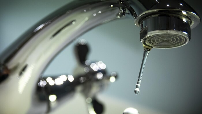 This image for Image Layouts addon