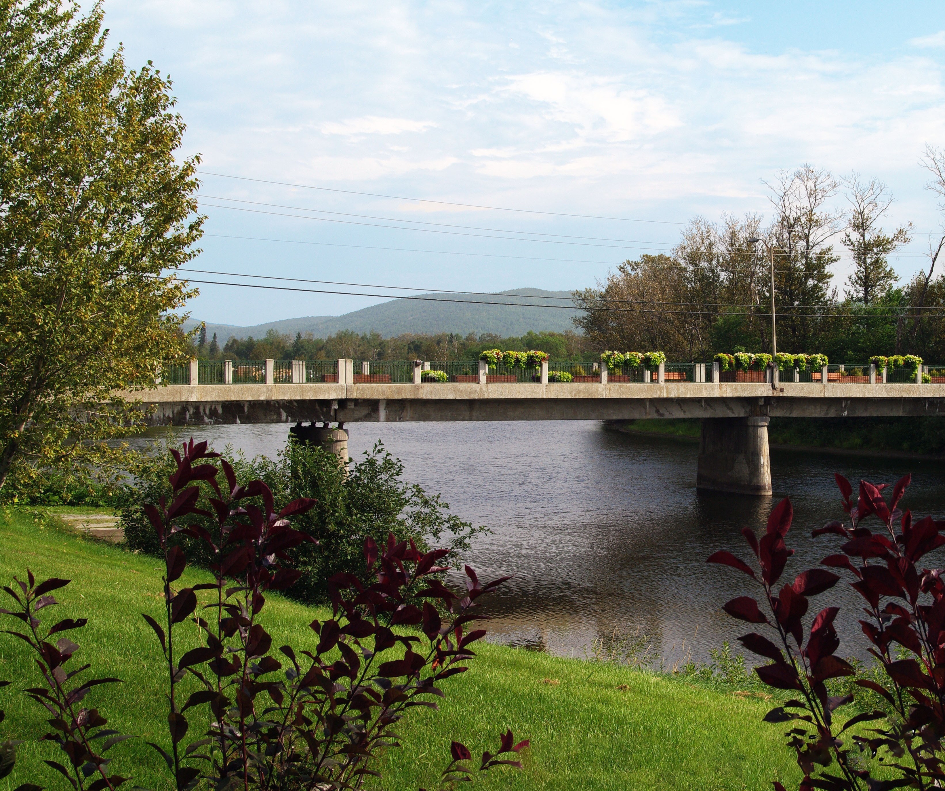 This image for Image Layouts addon