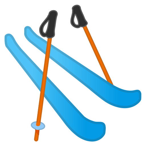skis icon